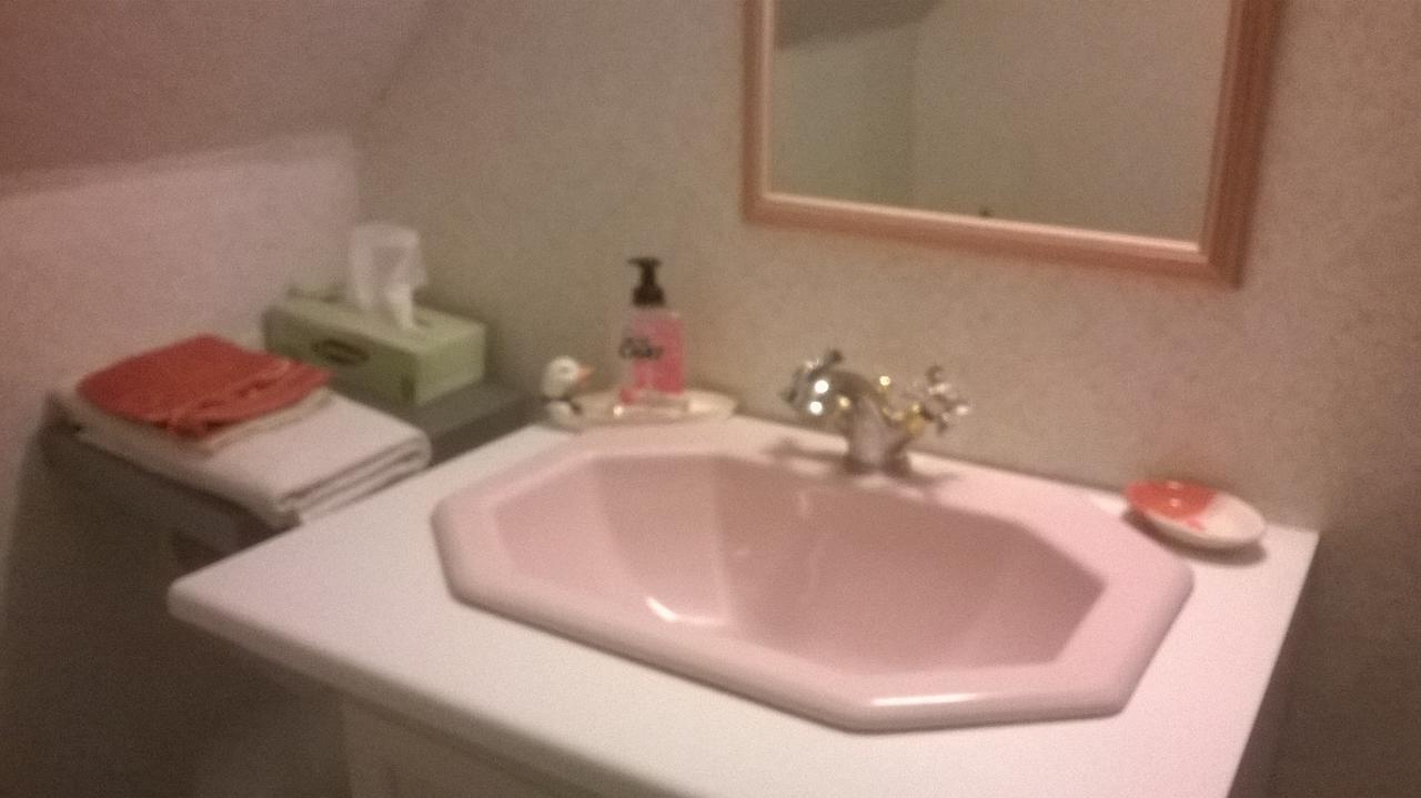 Le Hameau Aux Escargots Bed and Breakfast Bernon Rum bild